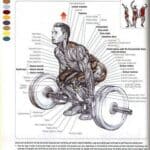 The Hex Bar Deadlift Benefits These Muscle Groups - Image Credit Powerlifting Motivation http://pinterest.com/powerliftingM/