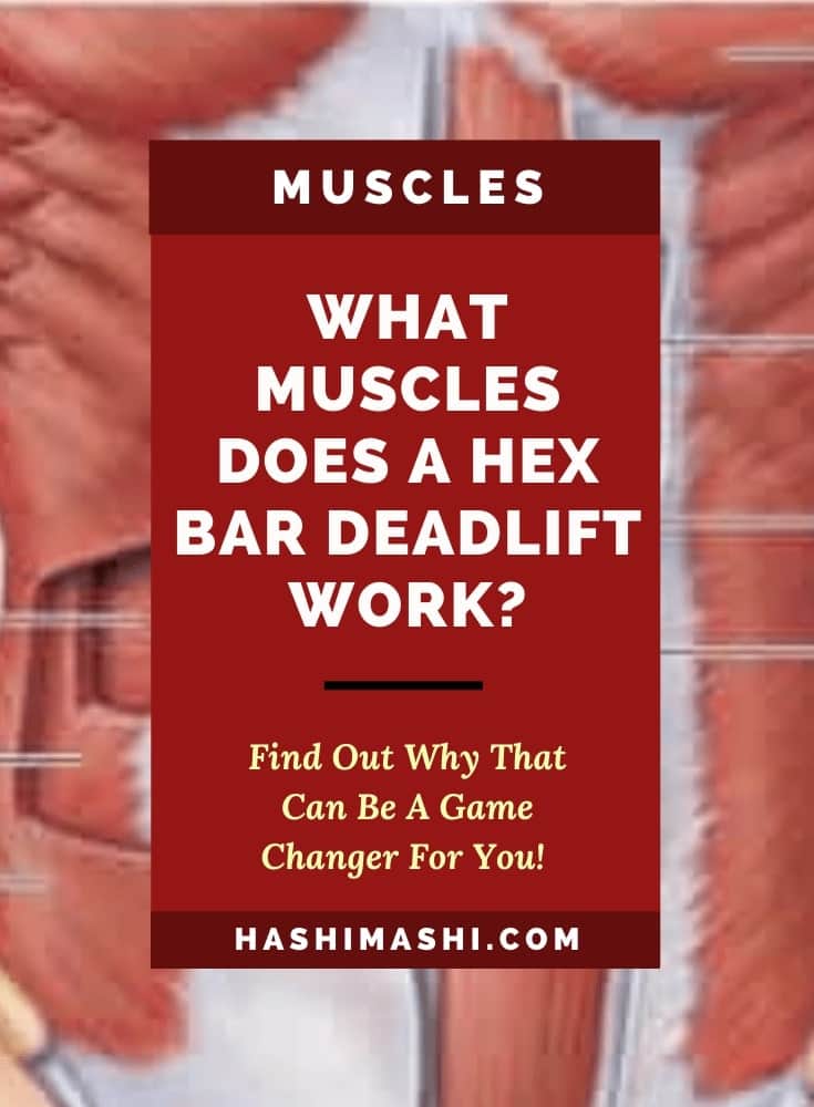 10 Hex Bar Deadlift Muscles Worked You Need to Know
