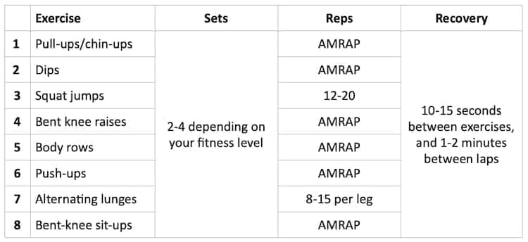 Power Tower Fit Apprentice Full-Body Workout