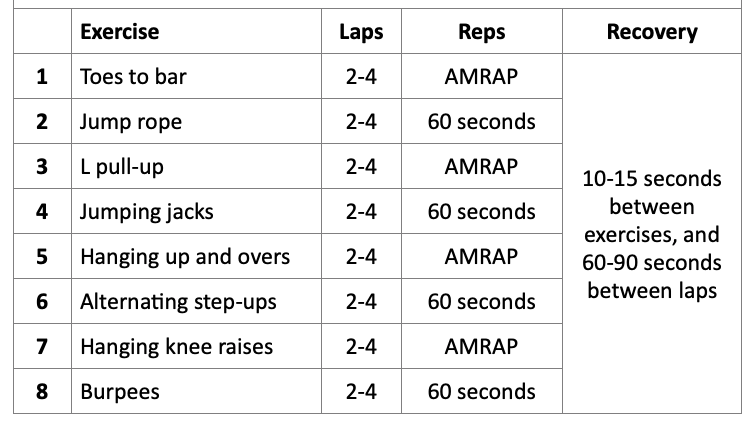 Pull Up Bar Exercises for Abs Fit Apprentice Workout - The Hashi Mashi Plan-min