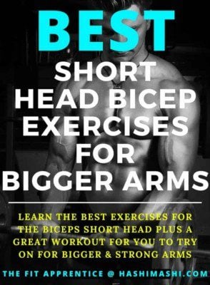 Short Head Bicep Exercises for Bigger Arms - Copyright The Fit Apprentice @ HashiMashi.com