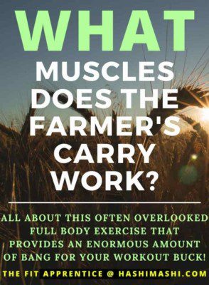 Farmer Carries Muscles Worked, Benefits, How-To + Workout Guide - Copyright The Fit Apprentice® at HashiMashi.com