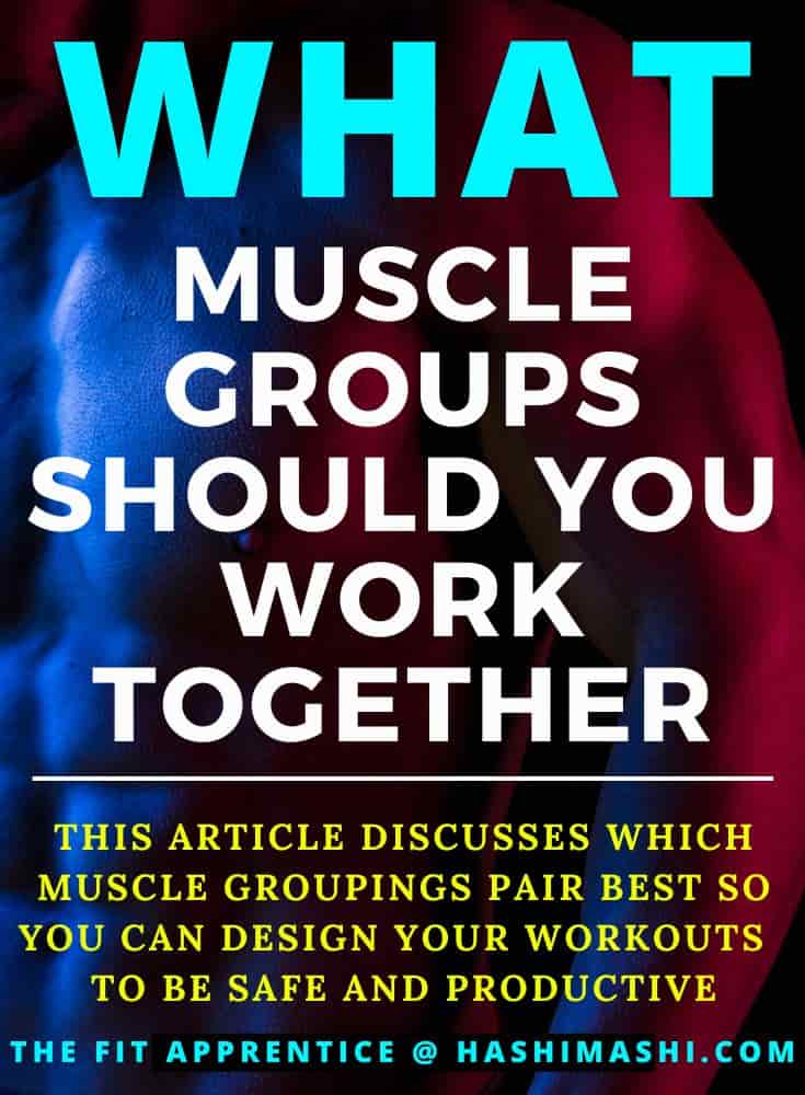 What Muscle Groups Work Together Design Your Own Workout