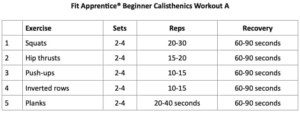 at home calisthenics workout plan