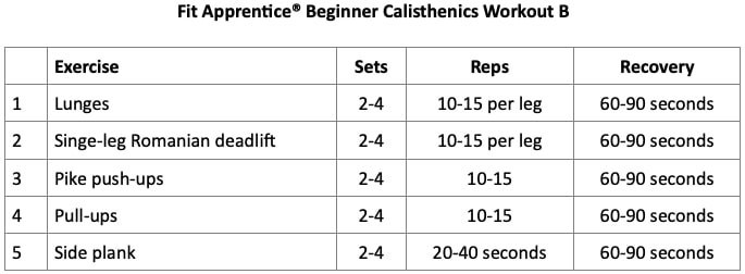 Calisthenics Workout Plan For Beginners At Home