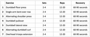 Dumbbell Only Upper Body Workout Plan for Beginners
