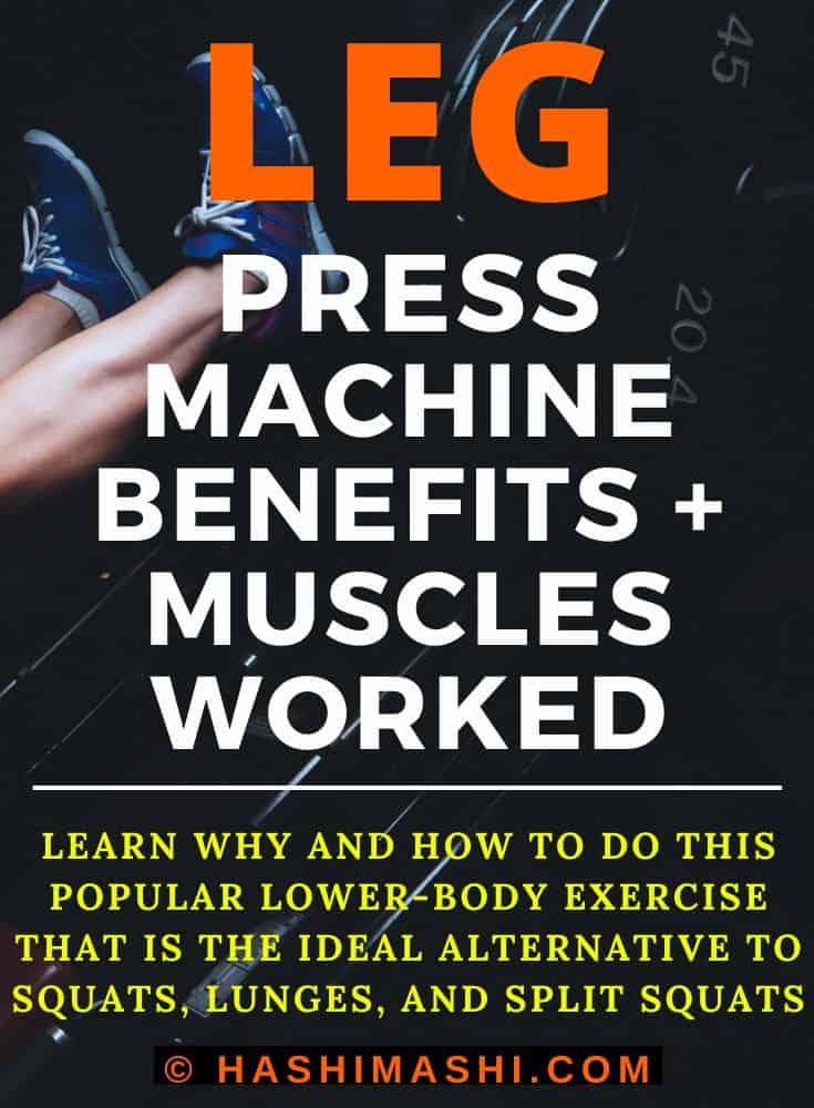 Leg Machine Muscles Worked at Willie Haire blog